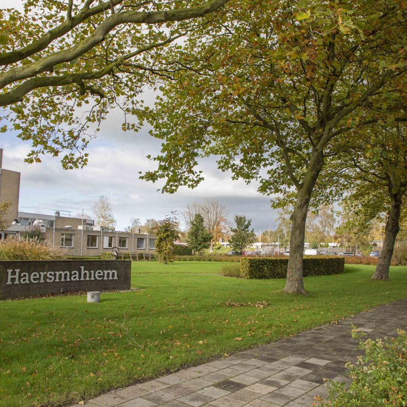 Haersmahiem 2019 3B5A5622