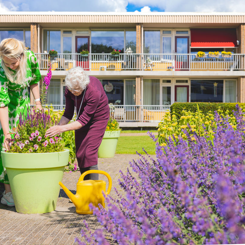 Buitentuin Talma Hoeve 2