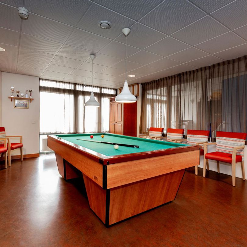 Skule Biljartruimte WEB