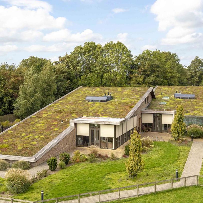 Petterhústerstate2 Klein